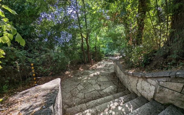 مقایسه دوربین آیفون 14 پرو