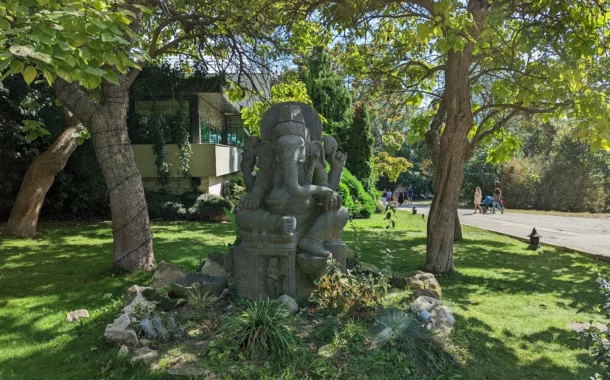 مقایسه دوربین آیفون 14 پرو