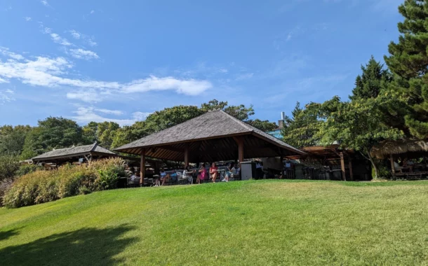 مقایسه دوربین آیفون 14 پرومقایسه دوربین آیفون 14 پرو