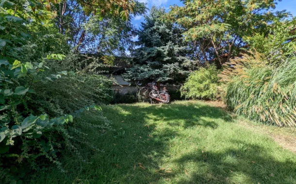 مقایسه دوربین آیفون 14 پرو