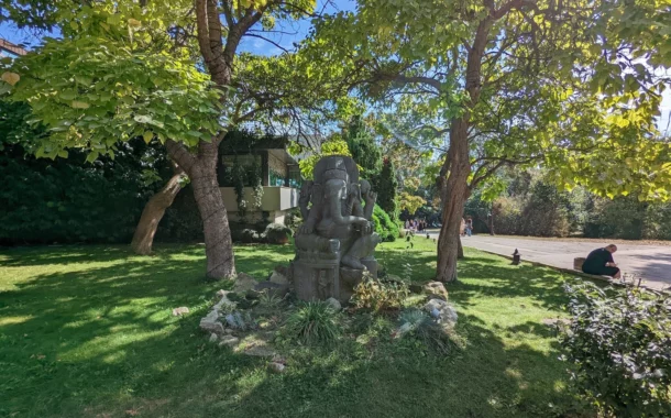 مقایسه دوربین آیفون 14 پرو