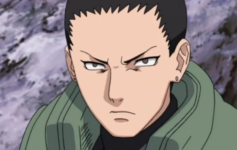 شیکامارو نارا