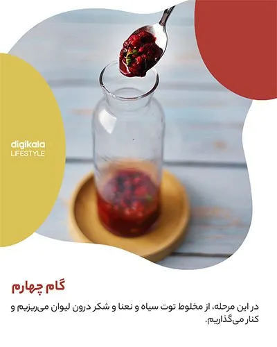 طرز تهیه موهیتو توت سیاه