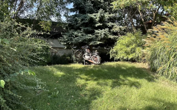 مقایسه دوربین آیفون 14 پرو