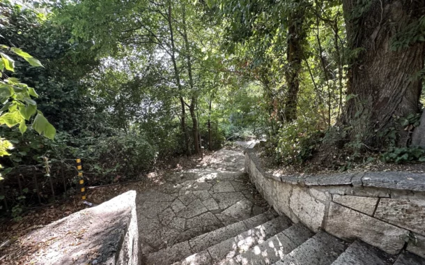 مقایسه دوربین آیفون 14 پرو