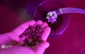 دستگاه آسیاب قهوه