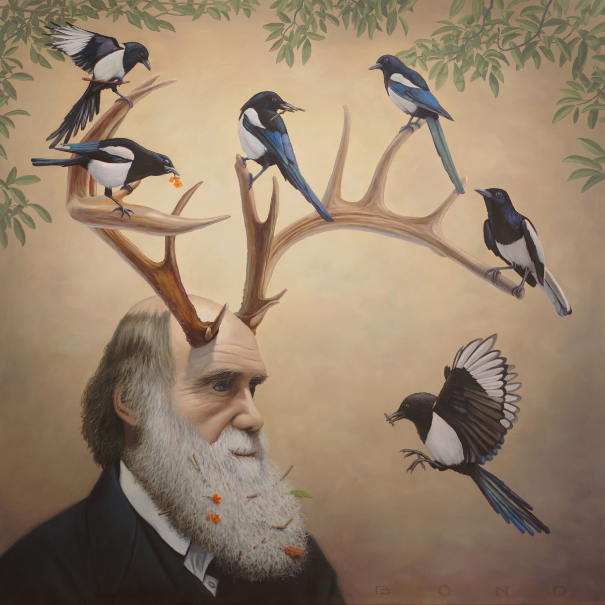 داروین و انتخاب طبیعی