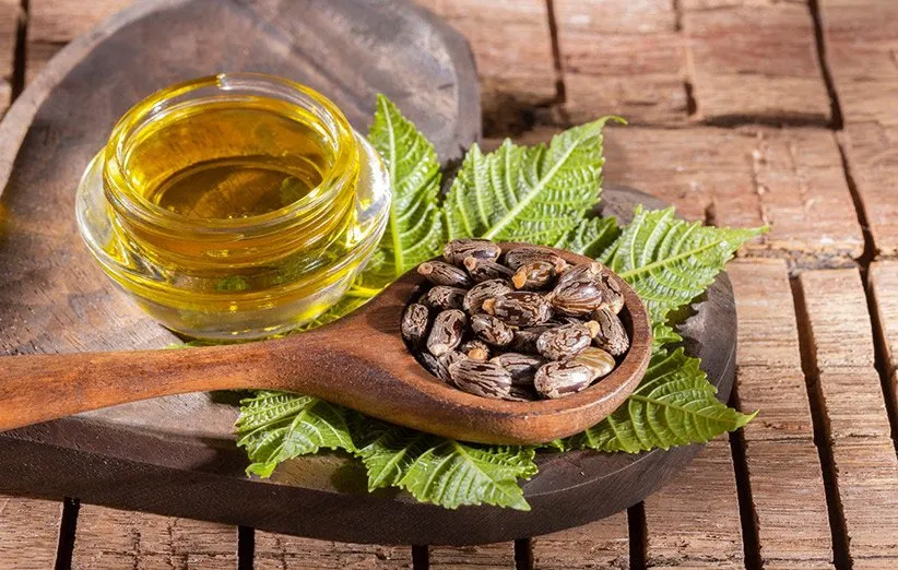 روغن پوست کرچک برای چه مواردی کاربرد دارد؟