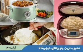 راهنمای خرید پلوپز