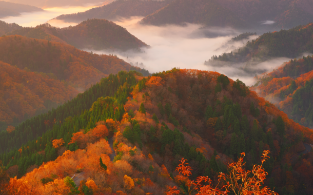 بهترین دوربینهای 2022