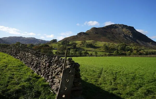 بهترین دوربینهای 2022