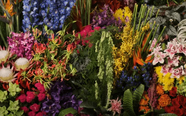 بهترین دوربینهای 2022