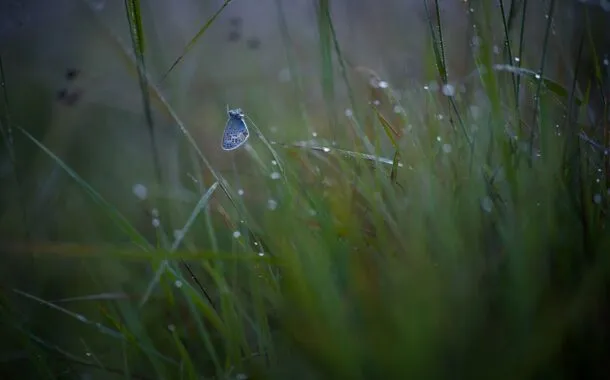 بهترین دوربینهای 2022