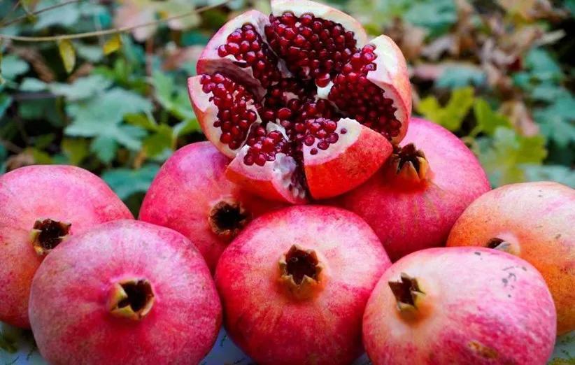 مواد غذایی مفید زمستانی