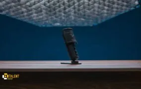 میکروفون بیرداینامیک Fox