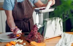 راهنمای خرید چرخ گوشت