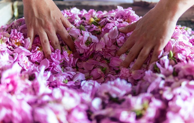 9 مورد از خواص گلاب که در سلامتی تاثیر شگفتانگیزی دارند • دیجیکالا مگ