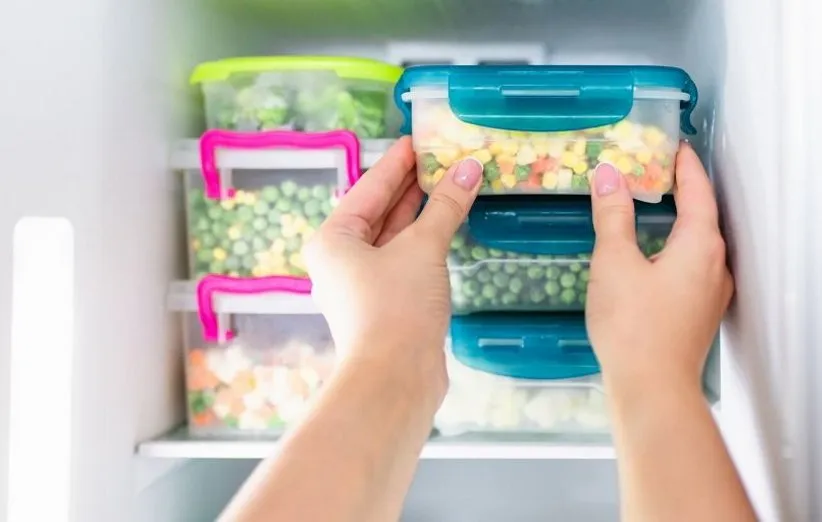 نکات مهم در خرید انواع نظمدهنده برای یخچال و فریزر