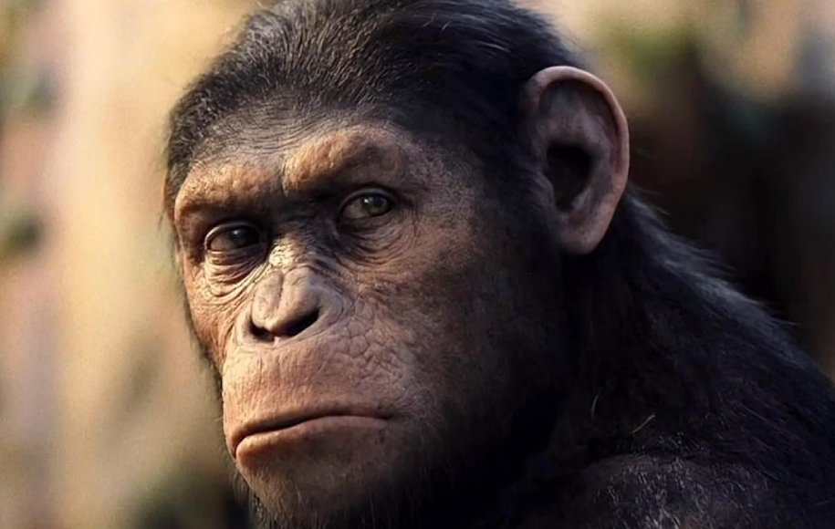 فیلم سینمایی ظهور سیاره‌ی میمون‌ها