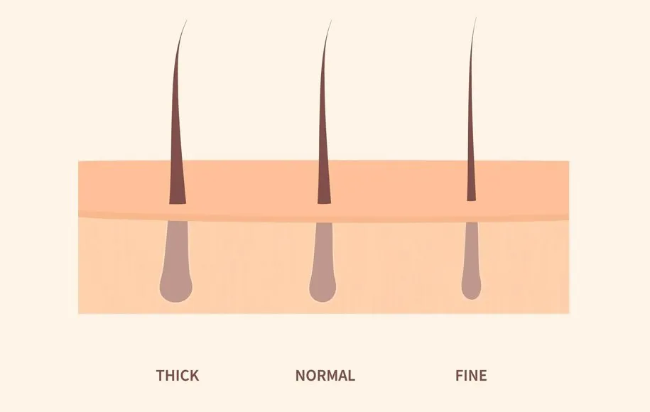 موی باریک و موی کم پشت