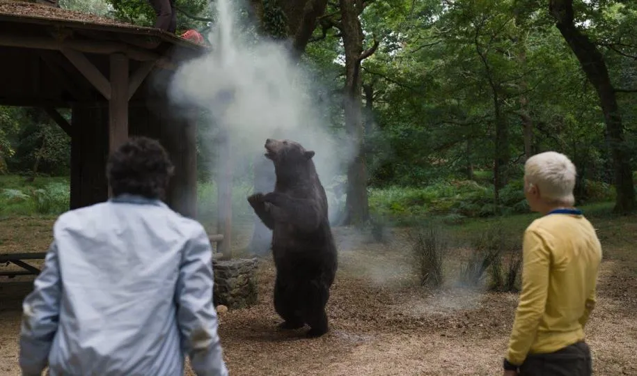 خرس کوکائینی