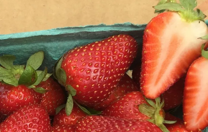 آشنایی با نکات لازم برای خرید میوه بهاری