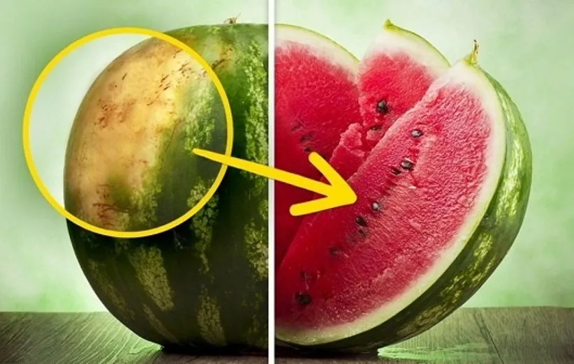 5 روش حرفه‌ای برای انتخاب هندوانه‌ی رسیده