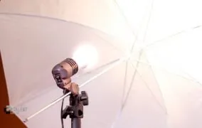 نگهدارنده لامپ NW104