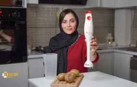 بررسی گوشت‌کوب برقی مولینکس مدل DD10