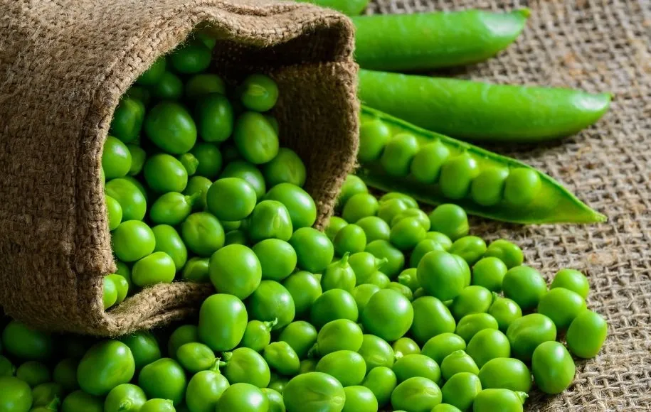 نخود سبز - ابرغذاهای بهاری