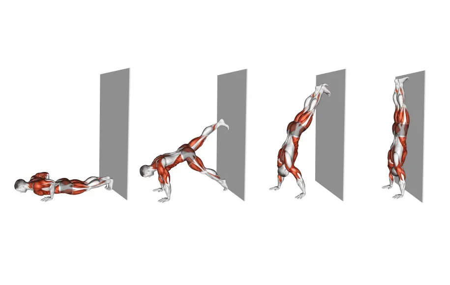 راه رفتن روی دیوار