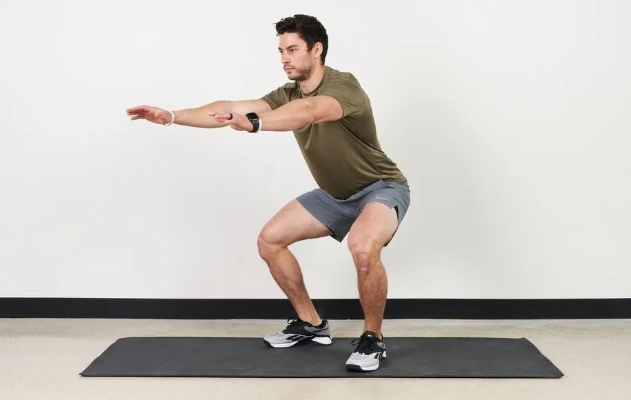 اسکات استاندارد