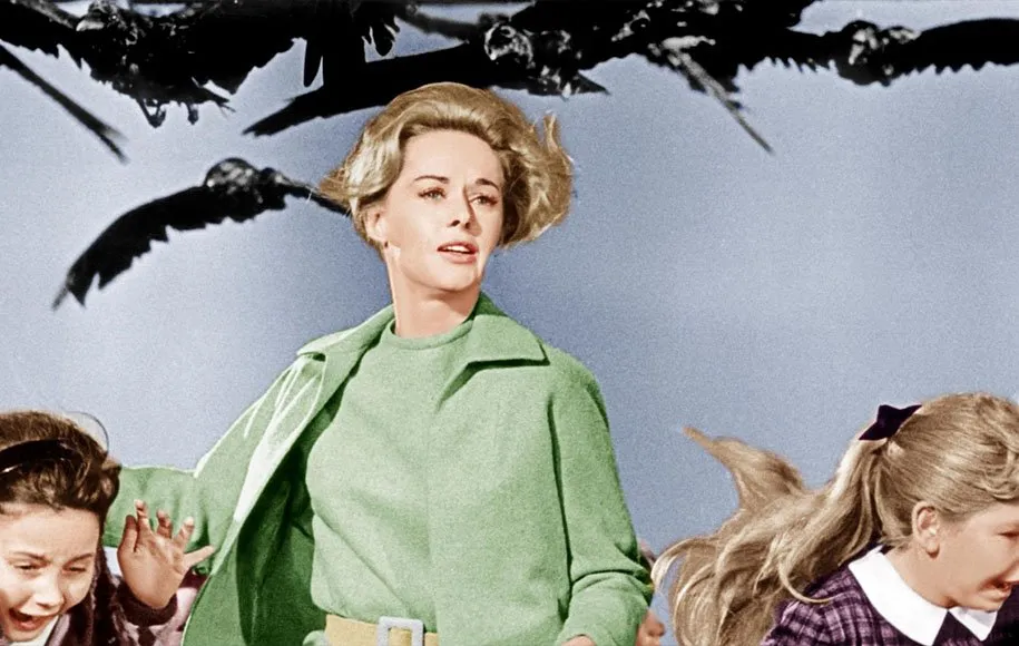 پرندگان. بازراه‌اندازی ژانر وحشت