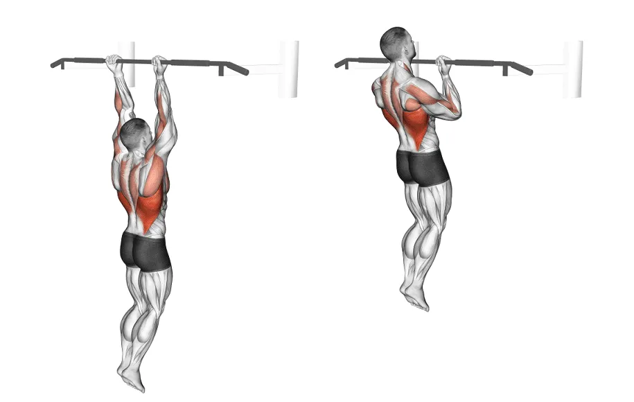 بارفیکس جلودست با کمک کش ورزشی