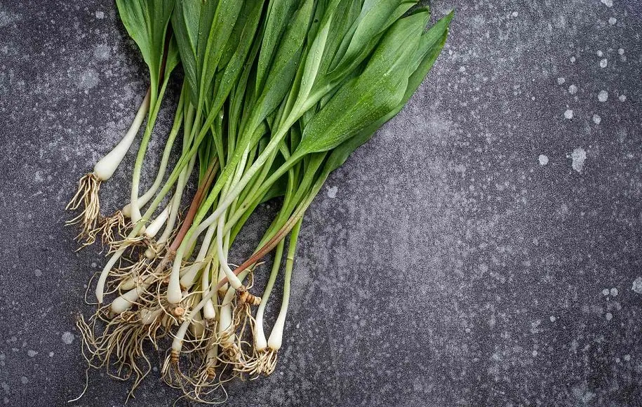 پیازچه بهاری - ابرغذاهای بهاری