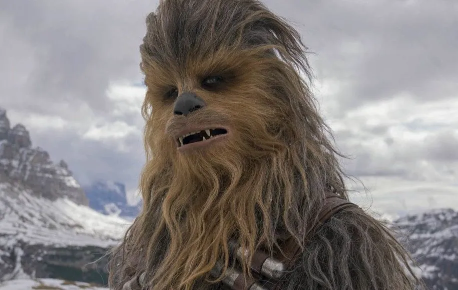 زور بازوی چوباکا