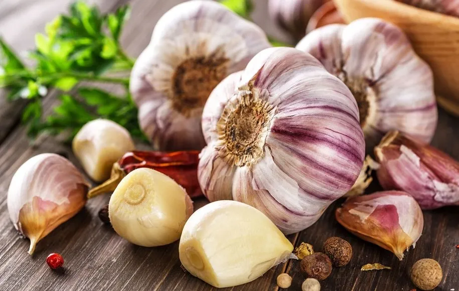 سیر - ابرغذاهای بهاری