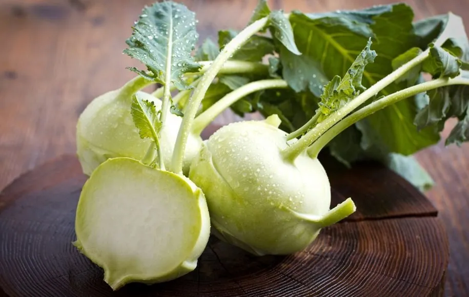 کلم قمری - ابرغذاهای بهاری