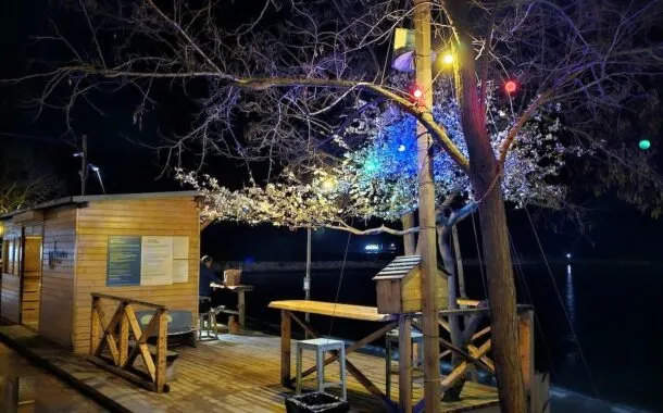 گلکسی S23 اولترا شیائومی 13 پرو