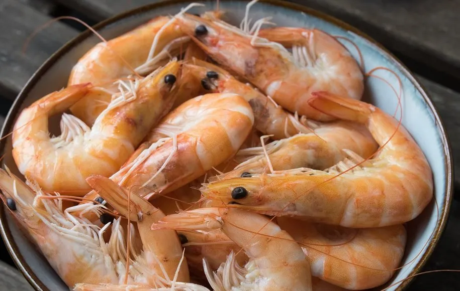 آیا میگو می‌تواند روی سلامتی تأثیر منفی بگذارد؟