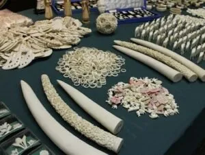 حکاکی روی عاج