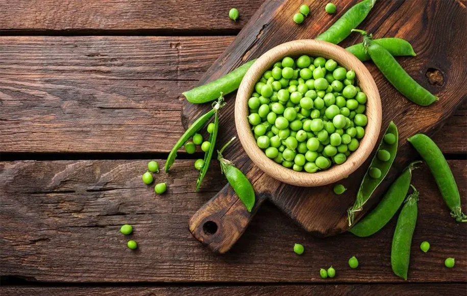 منبع پروتئین گیاهی چیست؟