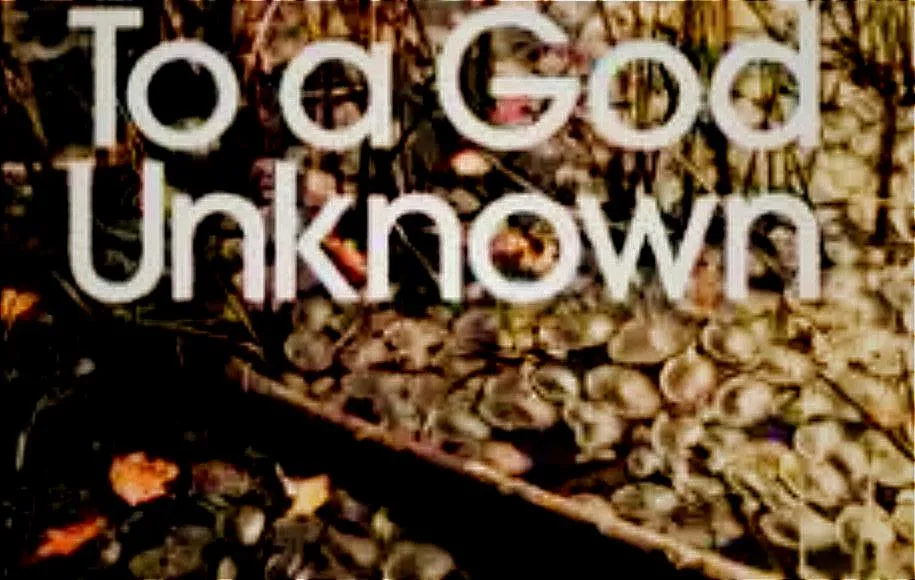 به خدای ناشناخته