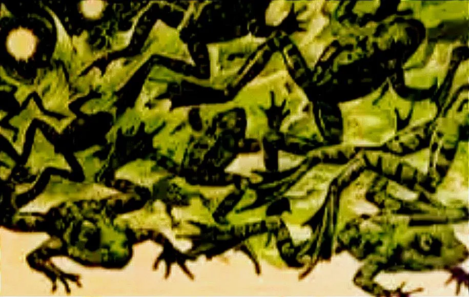 راسته کنسروسازان