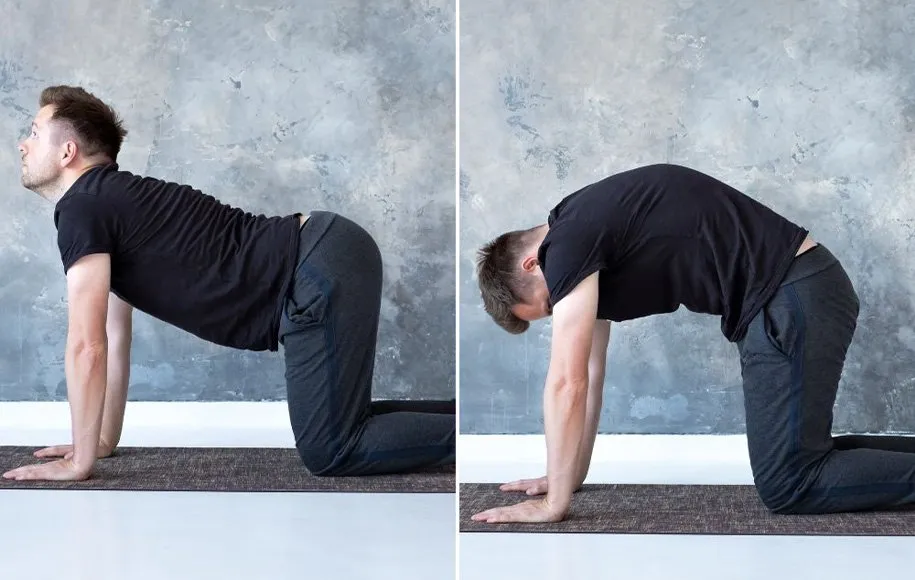 بهترین روغن برای دیسک کمر