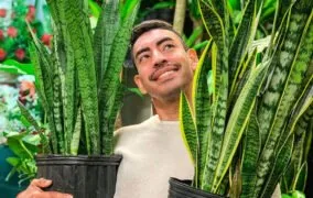 دلایل توقف رشد گیاه