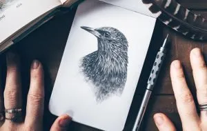 بهترین مداد طراحی برای طراحان مبتدی و حرفهای