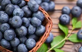 8 نمونه از خواص بلوبری (زغال‌اخته آبی) برای سلامت جسم و روان