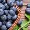 8 نمونه از خواص بلوبری (زغال‌اخته آبی) برای سلامت جسم و روان