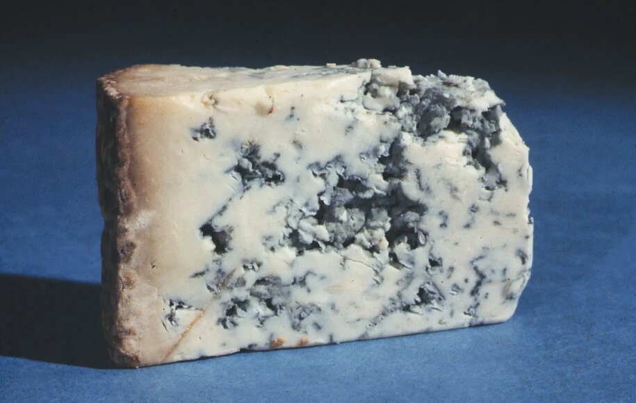 انواع پنیر برای فست فود 